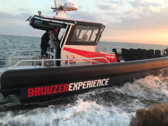 shark suspension boat seats on Bruuzer Texel
