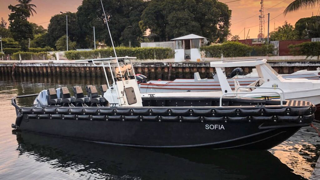 Shark Seating in a whale watching boat docked
